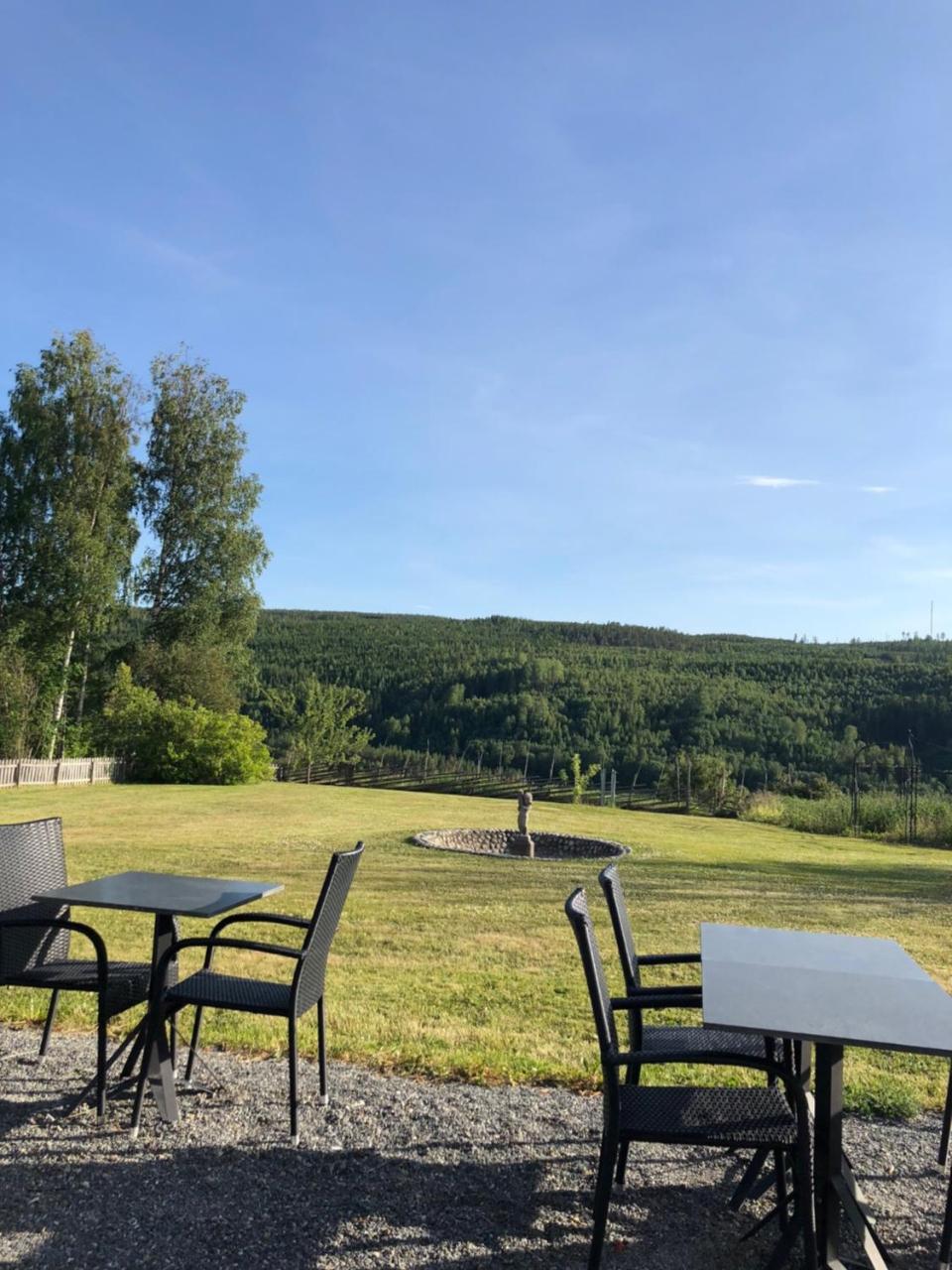 Hotell Restaurang Naemforsen Näsåker Esterno foto