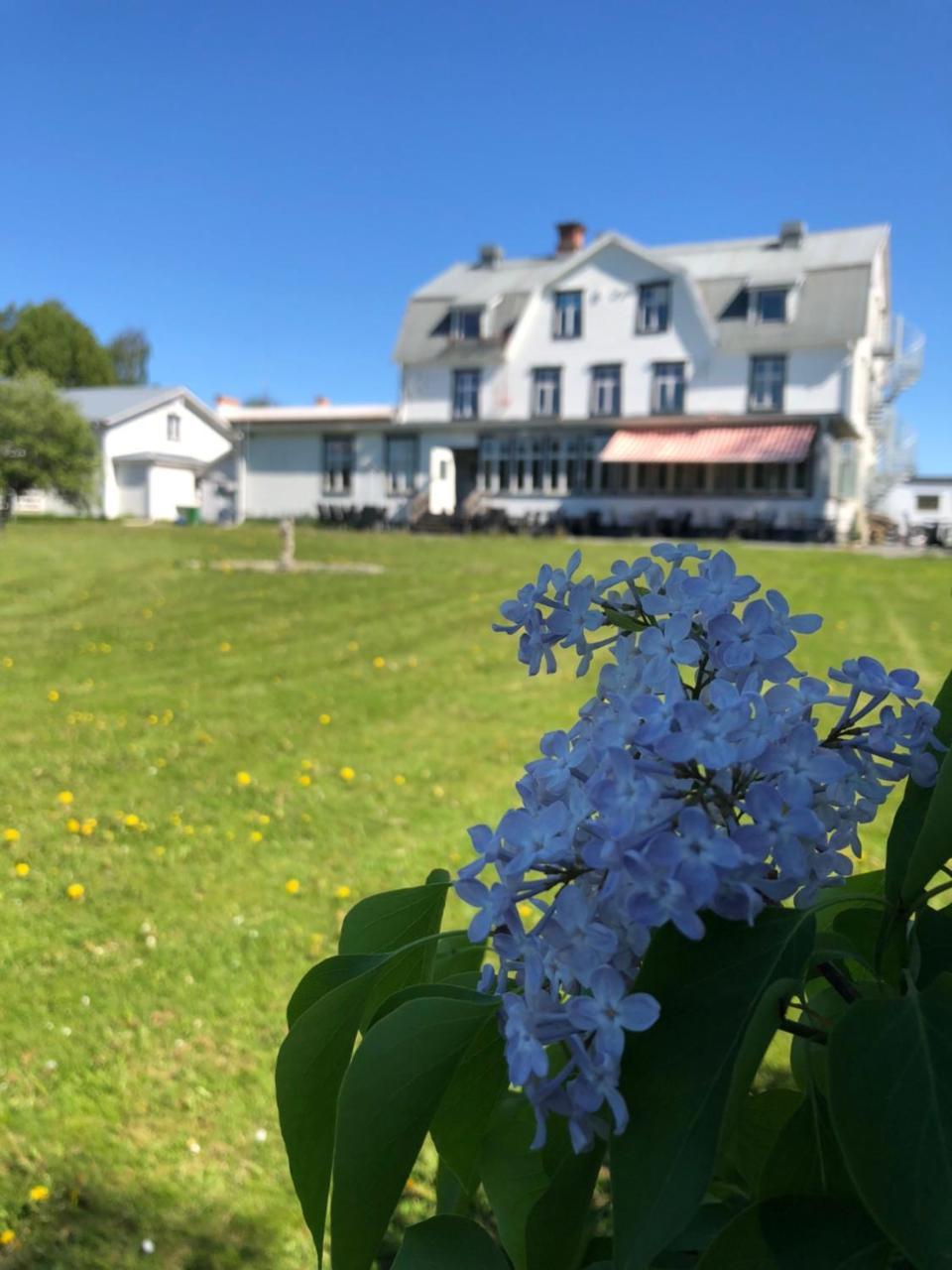 Hotell Restaurang Naemforsen Näsåker Esterno foto