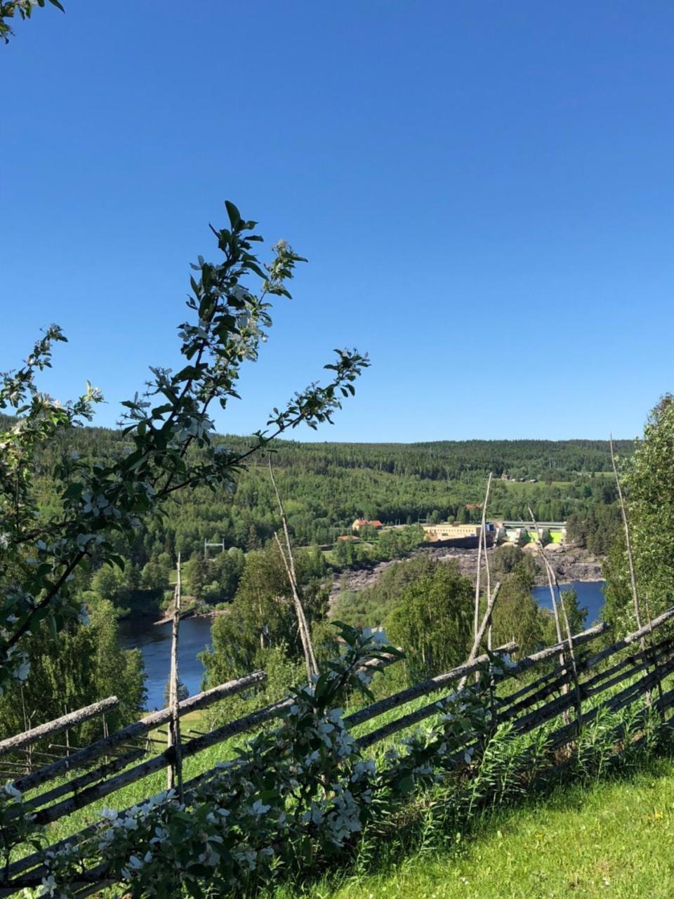 Hotell Restaurang Naemforsen Näsåker Esterno foto