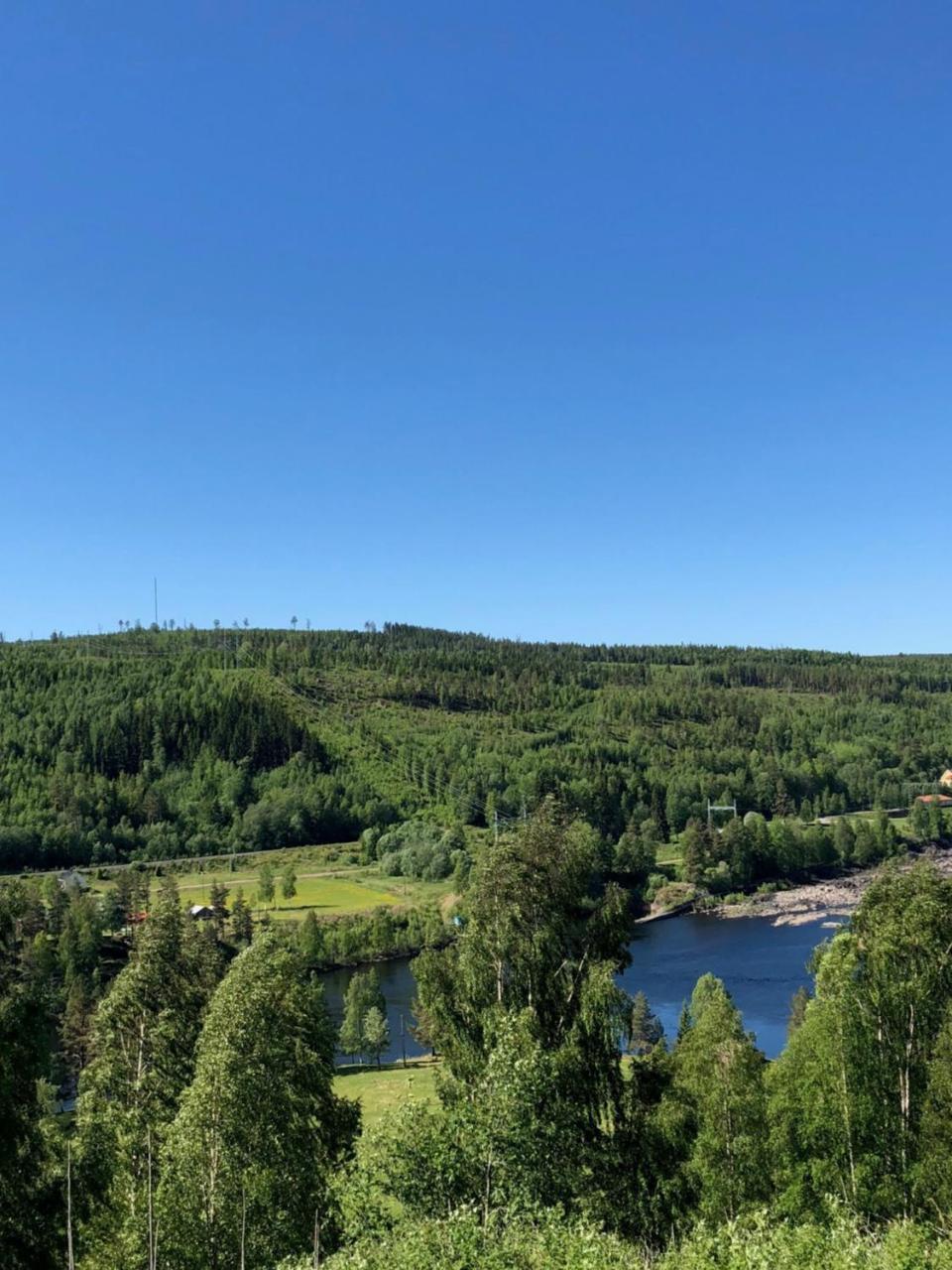 Hotell Restaurang Naemforsen Näsåker Esterno foto